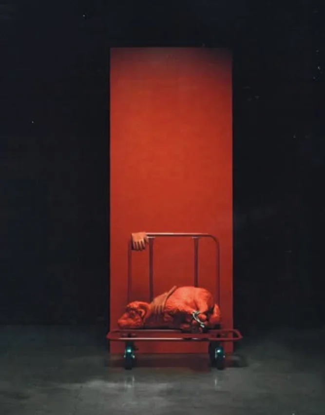 Rivington Roi Rebis showroom for The Radical Papers: METANOIA